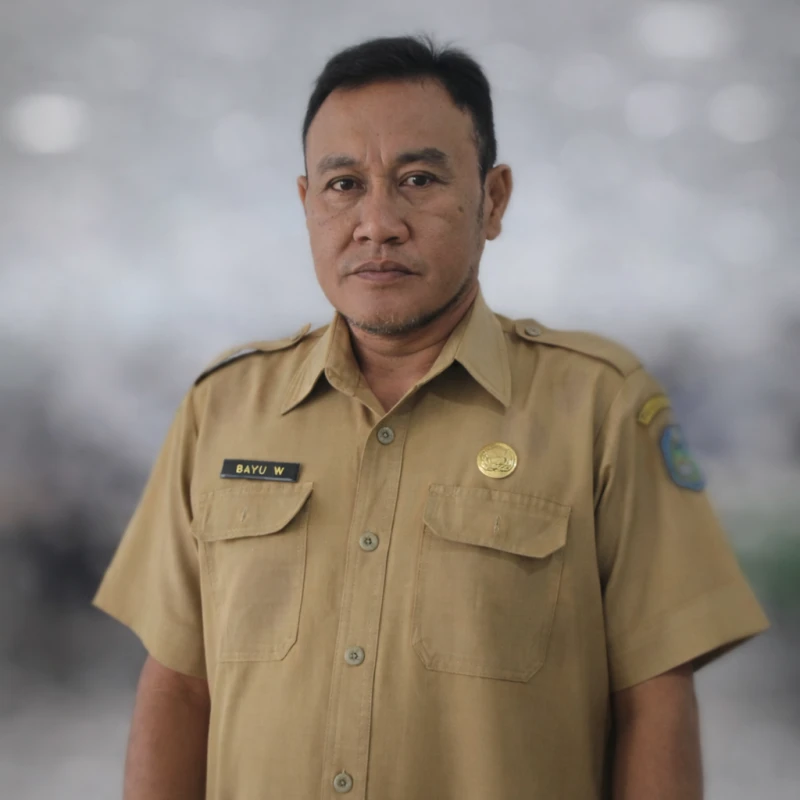 BAYU WICAKSONO, S.E. Ak